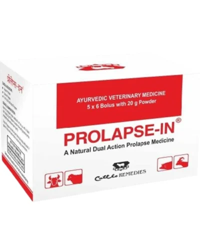 PROLAPSE-IN