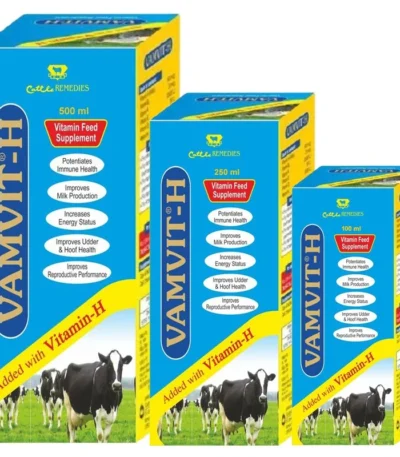 Vamvit-H