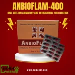ANBIOFLAM-400