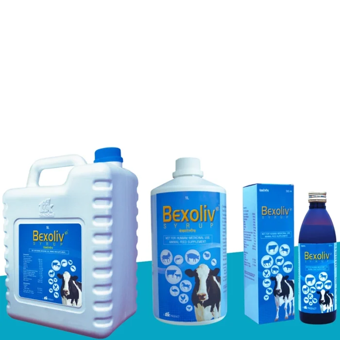 Bexoliv Syrup