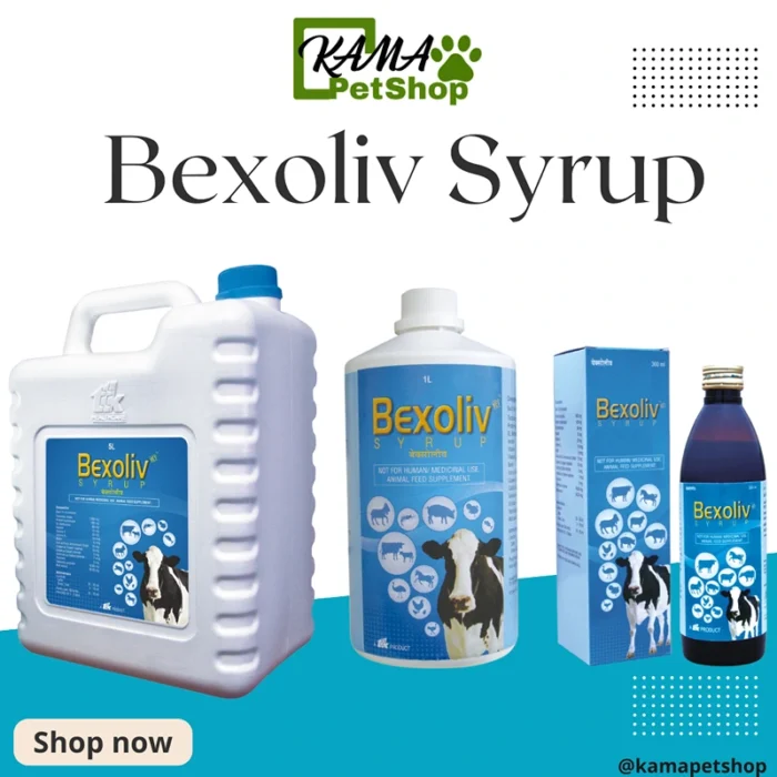 Bexoliv Syrup