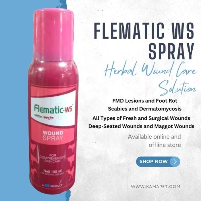 Flematic WS