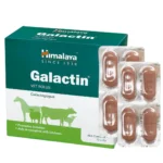Galactin Vet Bolus