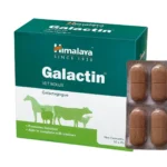 Galactin Vet Bolus
