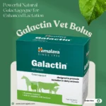 Galactin Vet Bolus