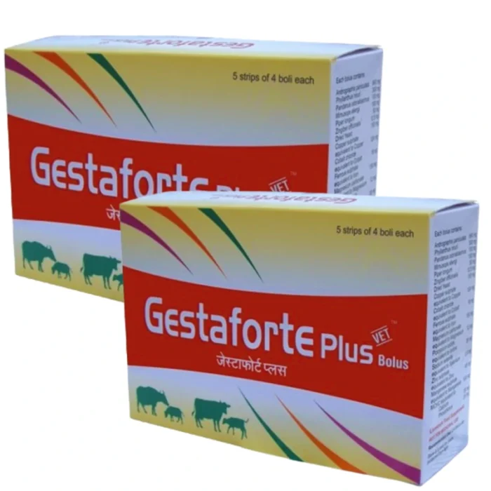 Gestaforte Plus