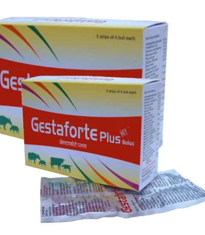 Gestaforte Plus