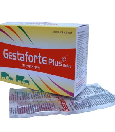 Gestaforte Plus