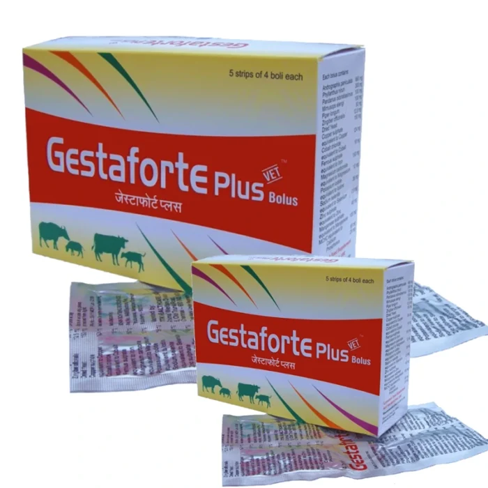 Gestaforte Plus