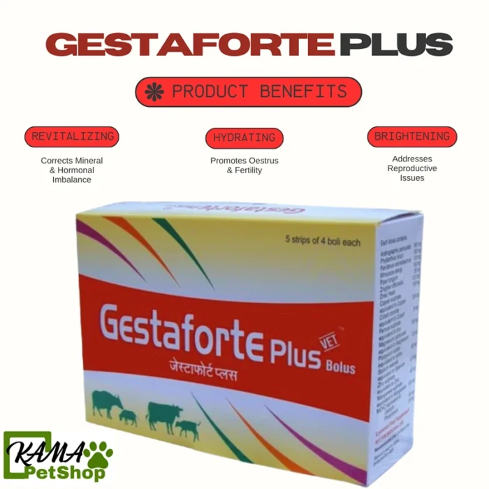 Gestaforte Plus