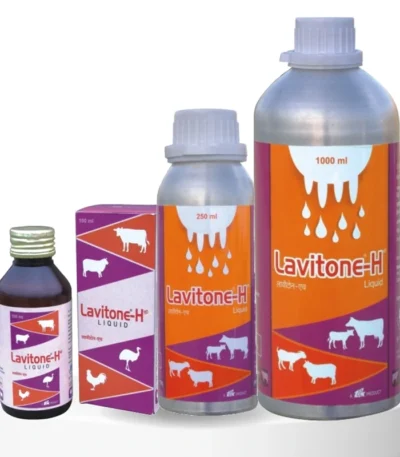 Lavitone-H