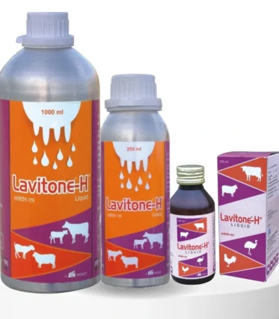 Lavitone-H
