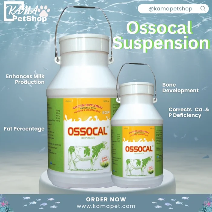 Ossocal Suspension