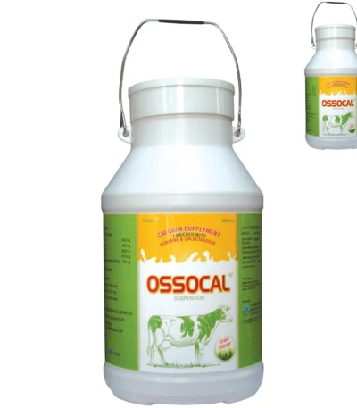 Ossocal Suspension