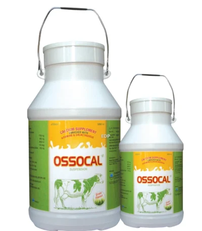 Ossocal Suspension