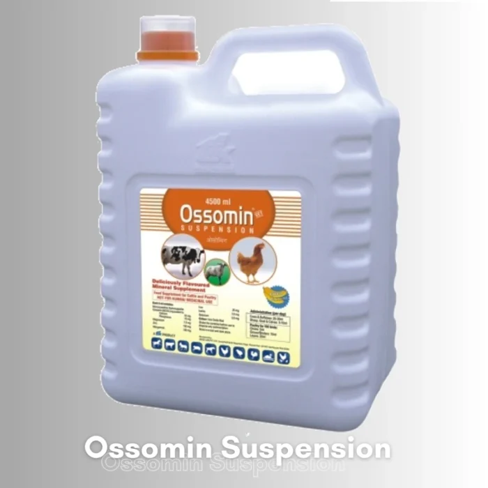 Ossomin Suspension