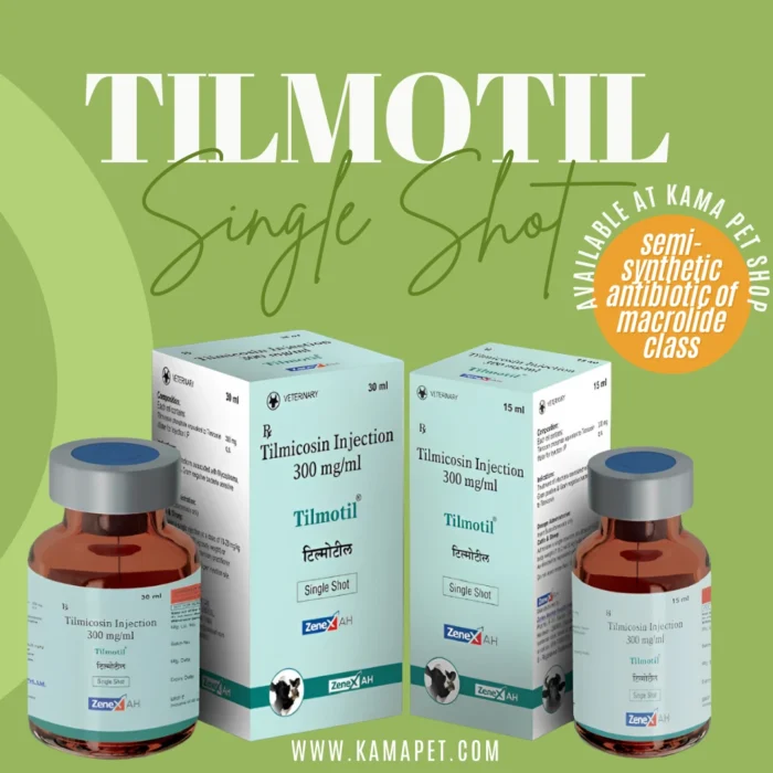 Tilmotil