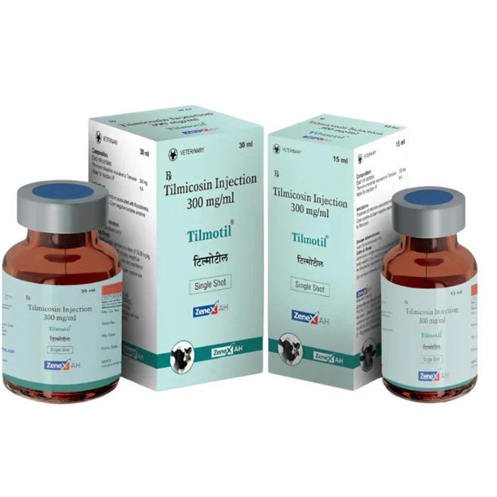 Tilmotil