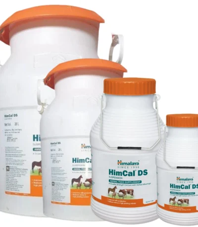 HimCal DS