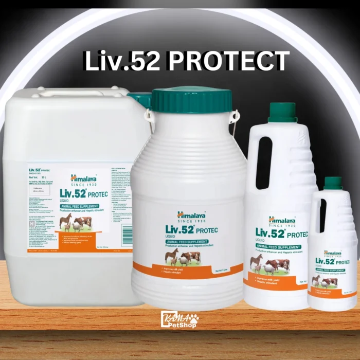 Liv.52 PROTEC Liquid