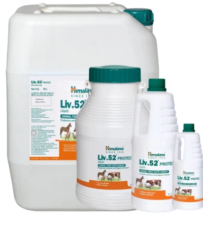 Liv.52 PROTEC Liquid
