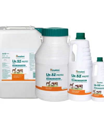 Liv.52 PROTEC Liquid