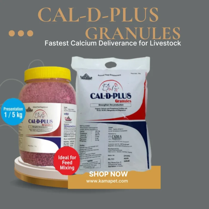 CAL-D-PLUS