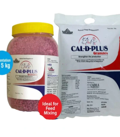 CAL-D-PLUS