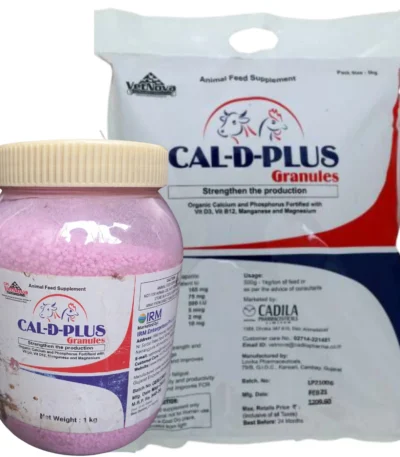 CAL-D-PLUS