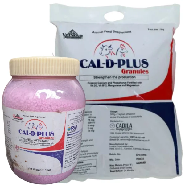 CAL-D-PLUS
