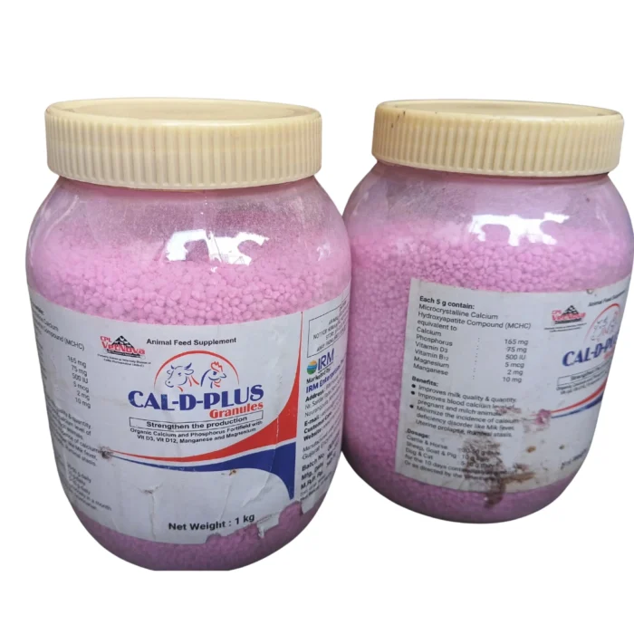 CAL-D-PLUS