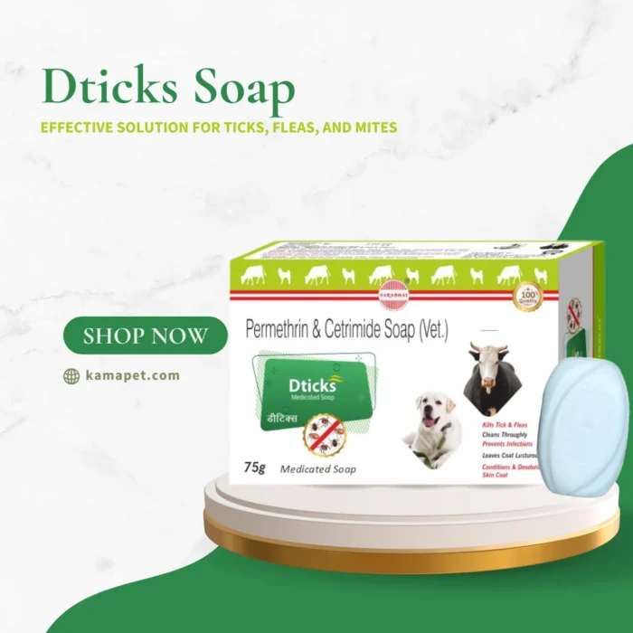 Dticks Soap