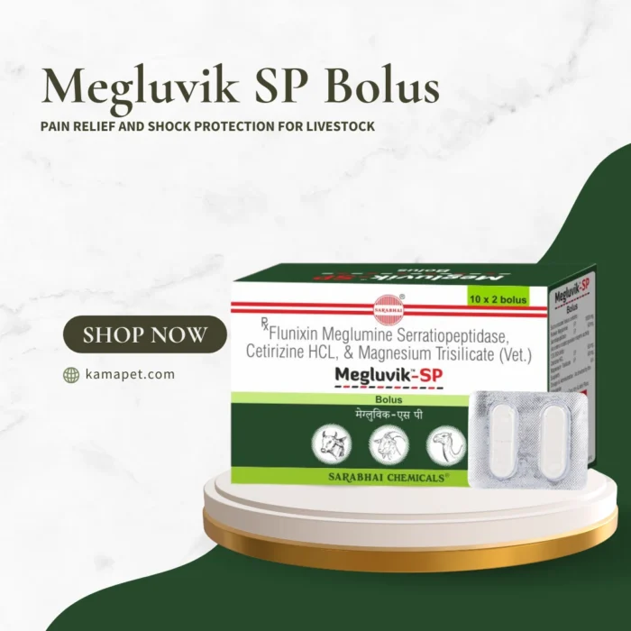 Megluvik SP