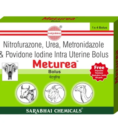 Meturea