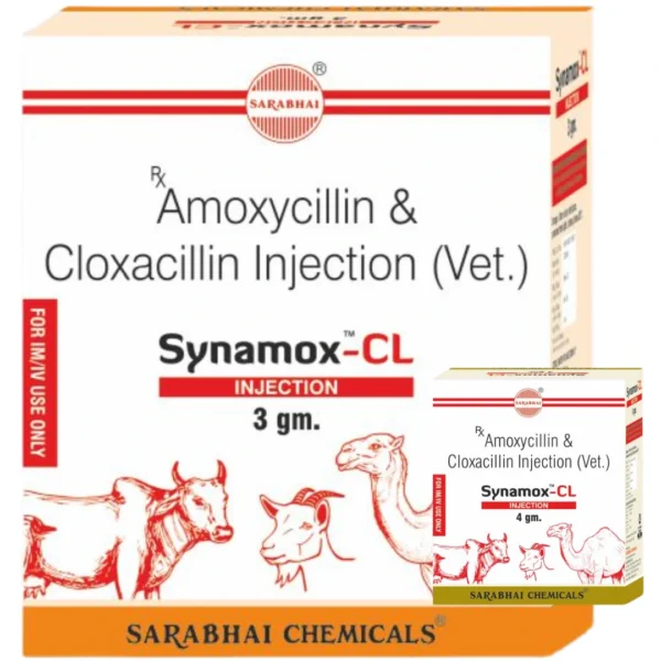 Synamox-CL