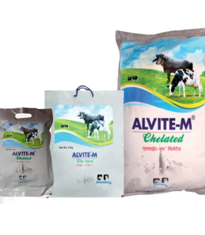 ALVITE