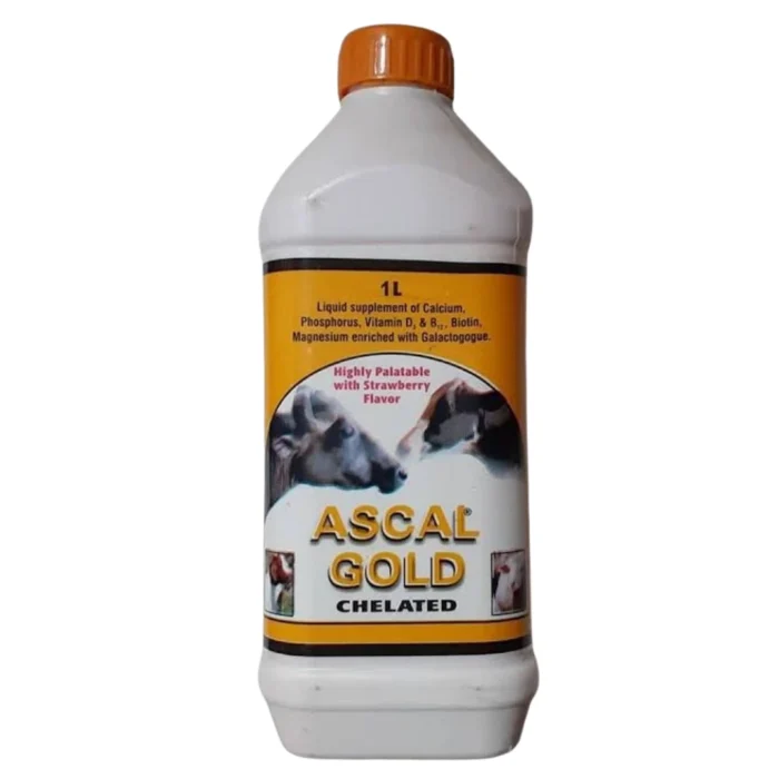 ASCAL GOLD