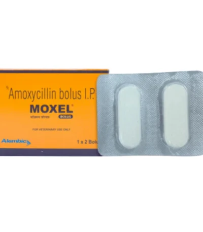 MOXEL Bolus