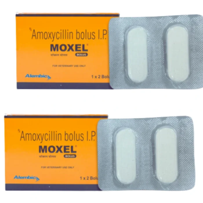 MOXEL Bolus