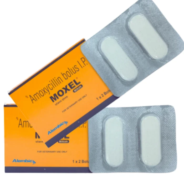 MOXEL Bolus