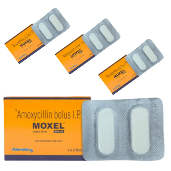 MOXEL Bolus