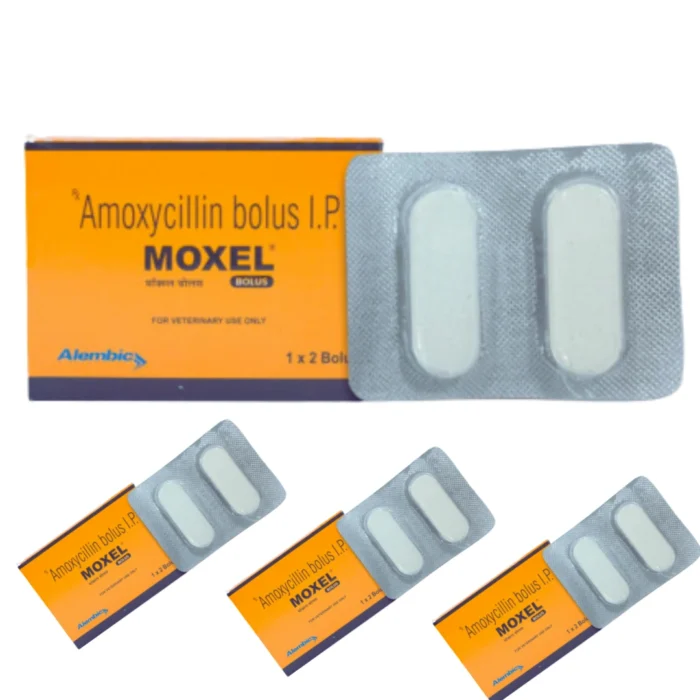 MOXEL Bolus