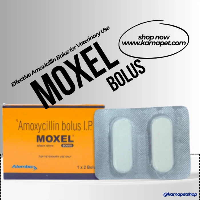 MOXEL Bolus