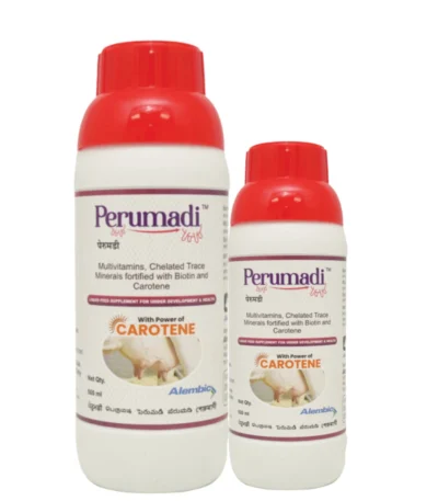 Perumadi