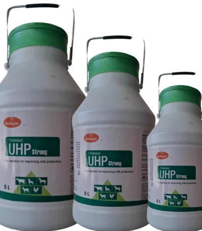 UHP Strong