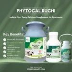 Phytocal Ruchi
