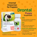 Drontal