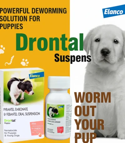 Drontal