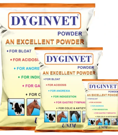 Dyginvet