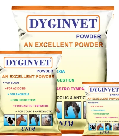 Dyginvet